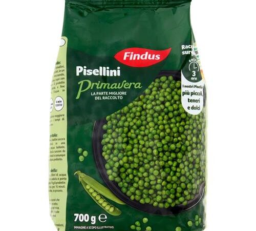 PISELLI PRIMAVERA FINDUS GR.700