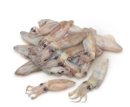 CALAMARETTE PUNTILLE