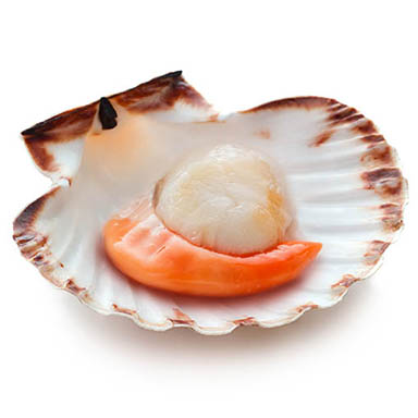 CAPPASANTA MEZZO GUSCIO