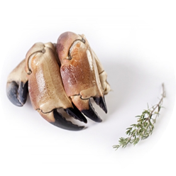 CHELE DI GRANCHIO AL NATURALE