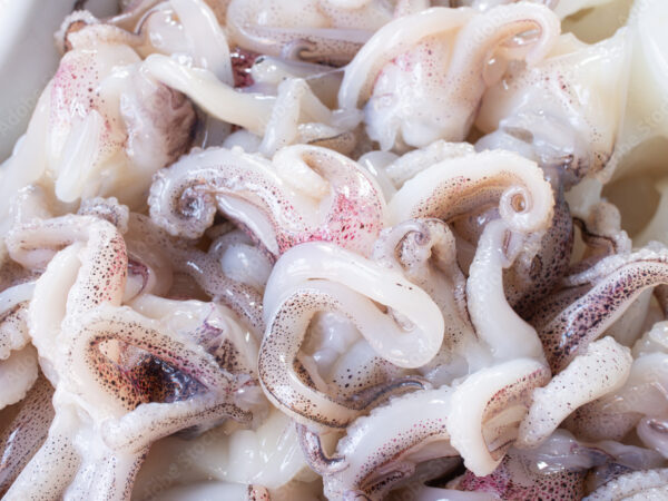 CIUFFETTI DI CALAMARO