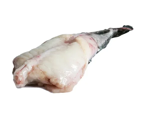 CODE DI ROSPO SPAGNA