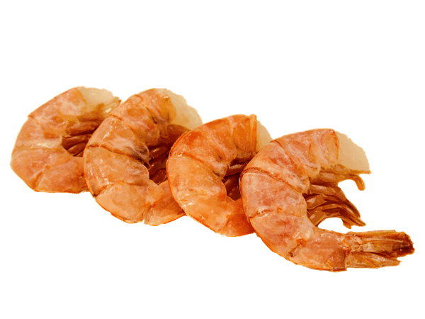 CODE DI GAMBERI ARGENTINI