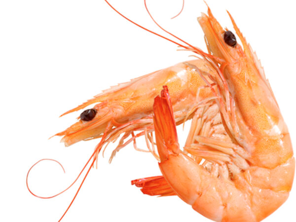 GAMBERETTI ROSA SICILIA