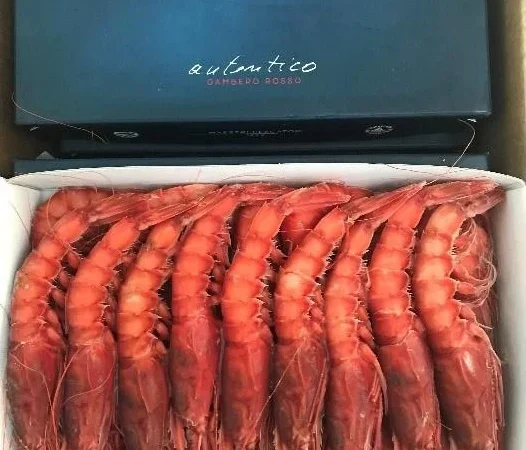 GAMBERI ROSSI SICILIA ( SU ORDINAZIONE )