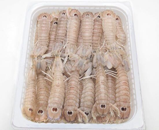 PANNOCCHIE DELL'ADRIATICO VOGLIA DI MARE GR.500