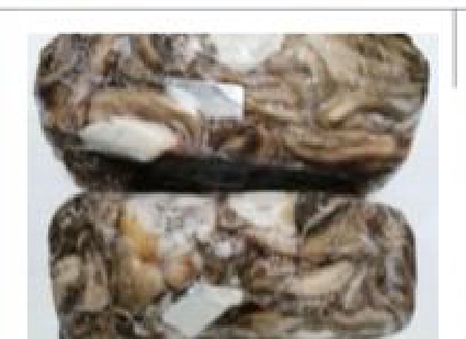 POLPI BARCA T-10 SPORCO