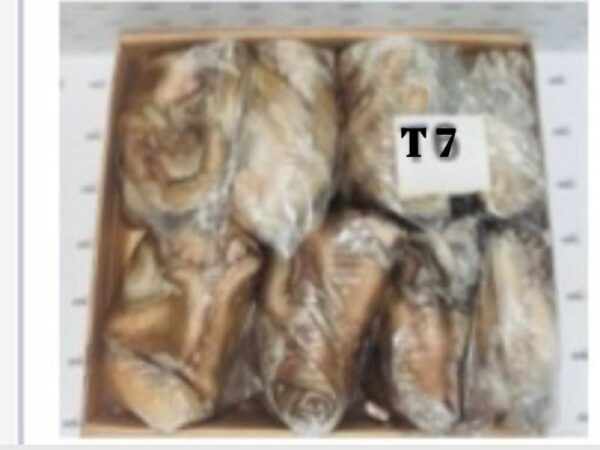 POLPI BARCA T-7 SPORCO