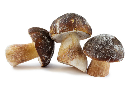 FUNGHI PORCINI EXTRA