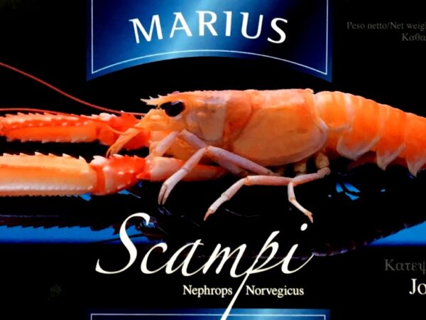 SCAMPI DANIMARCA MARIUS 8/12