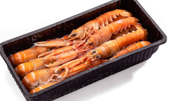 SCAMPI IRLANDA 13/13