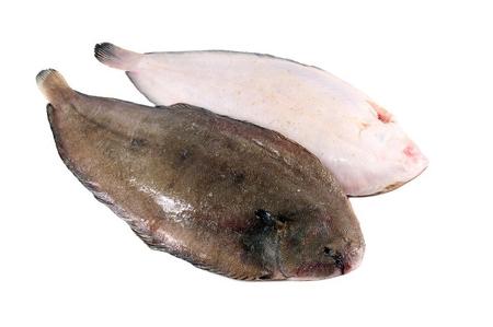 SOGLIOLE NOSTRANE L/3