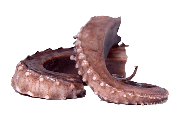 TENTACOLI DI TOTANO INTERI