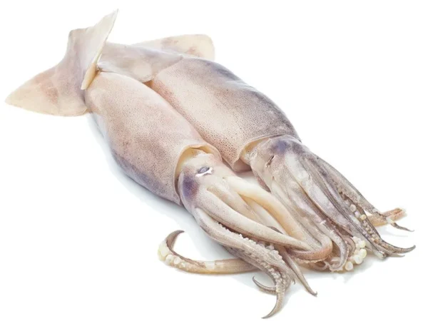 TOTANI DI BARCA SPORCHI