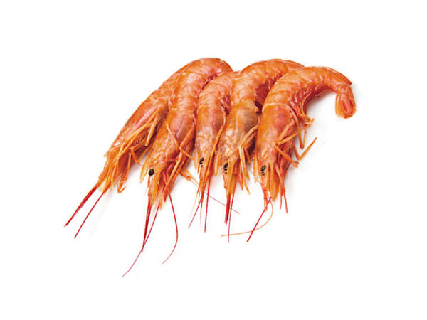 GAMBERI ARGENTINI L/1 CONGELATI A BORDO